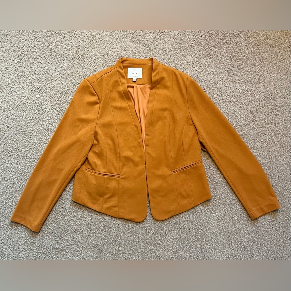 Iris Los Angeles Cropped Blazer With Shoulder Pads, Clasp Closure, Gold, New 1XL
